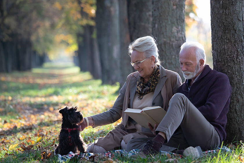 Benefits Of Having A Pet For Seniors Benefits Of Having A Pet For Seniors
