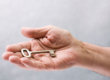 Signs It's Time For Seniors To Give Up The Keys