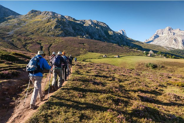 The Importance Of Socialization As You Age The Importance Of Socialization As You Age