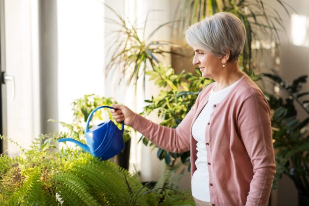 3 Reasons To Start Your First Indoor Garden In Fort Worth, TX Senior Living Communities