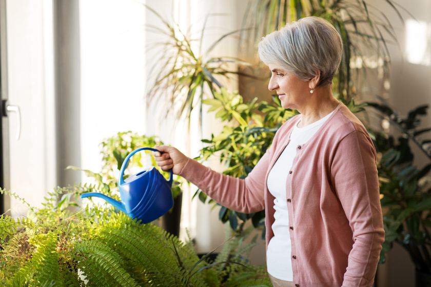 3 Reasons To Start Your First Indoor Garden In Fort Worth, TX Senior Living Communities