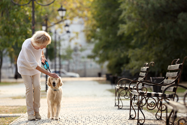 senior-woman-walking-with-dog senior-woman-walking-with-dog