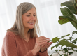senior-woman-wiping-leaves-beautiful-green-houseplant