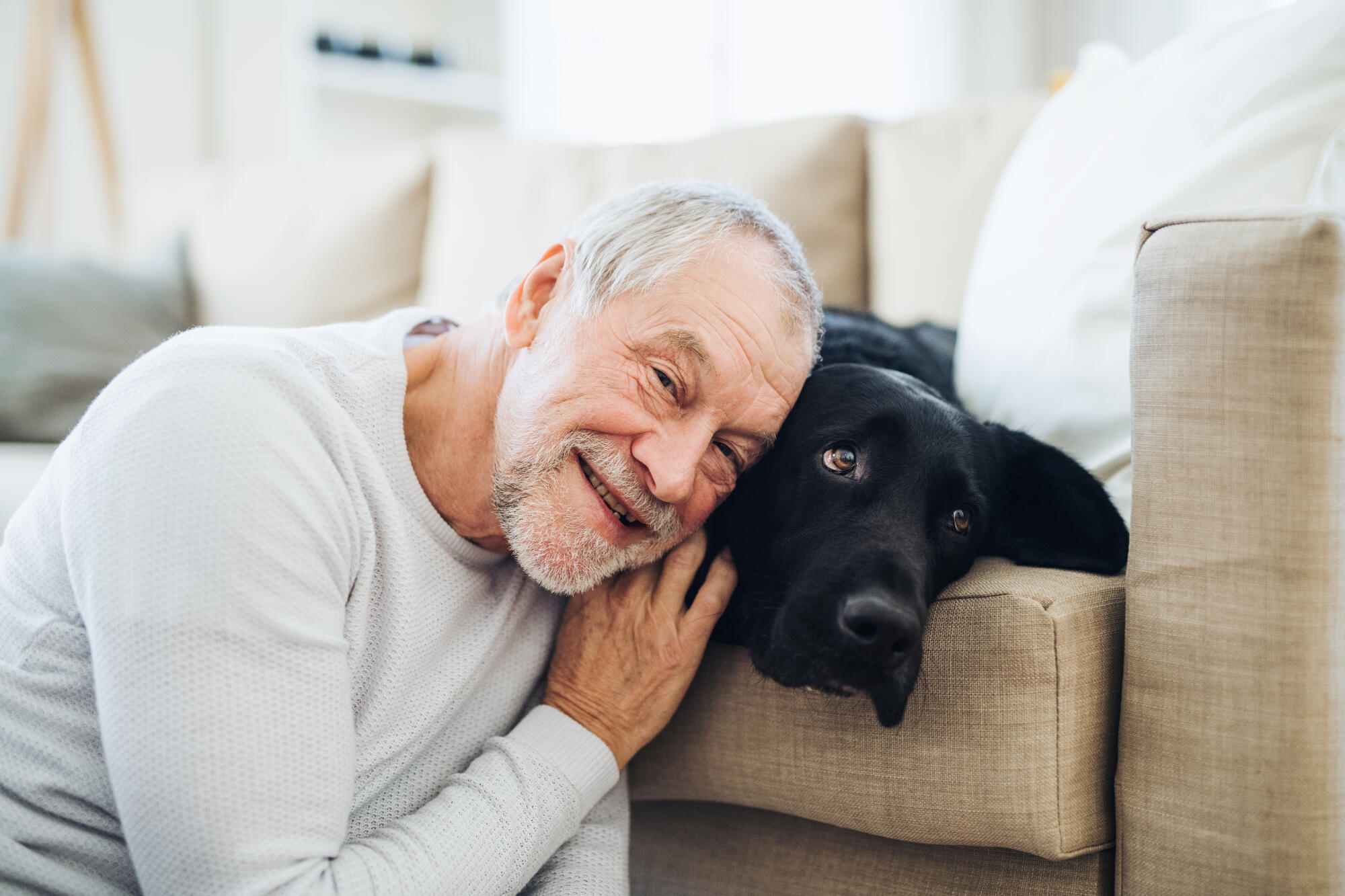 A,Happy,Senior,Man,Playing,With,A,Pet,Dog,Indoors